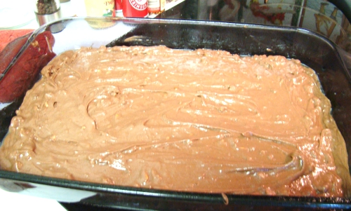 Dinner with the Grobmyers. Mississippi Mud Cake.