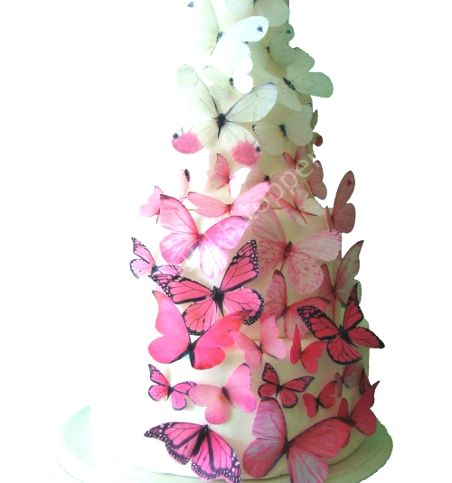 IncrEDIBLE Toppers Ombre Edible Butterflies in Pink Cake.