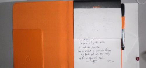 Pocket Blonde. Franklin Covey Padfolio.