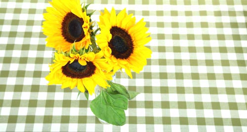 Sunflowers On Tablecloth Free Stock Photo.