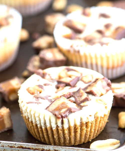 Mini Snicker's Cheesecakes.